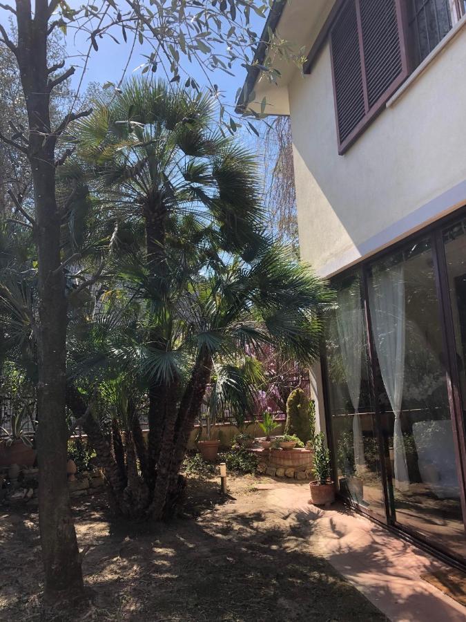 La Villa Bianca - Appartamento In Villa เซสโตฟิโอเรนติโน ภายนอก รูปภาพ