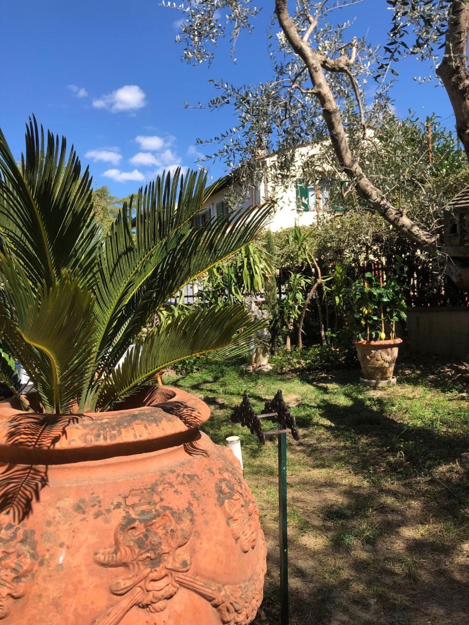 La Villa Bianca - Appartamento In Villa เซสโตฟิโอเรนติโน ภายนอก รูปภาพ