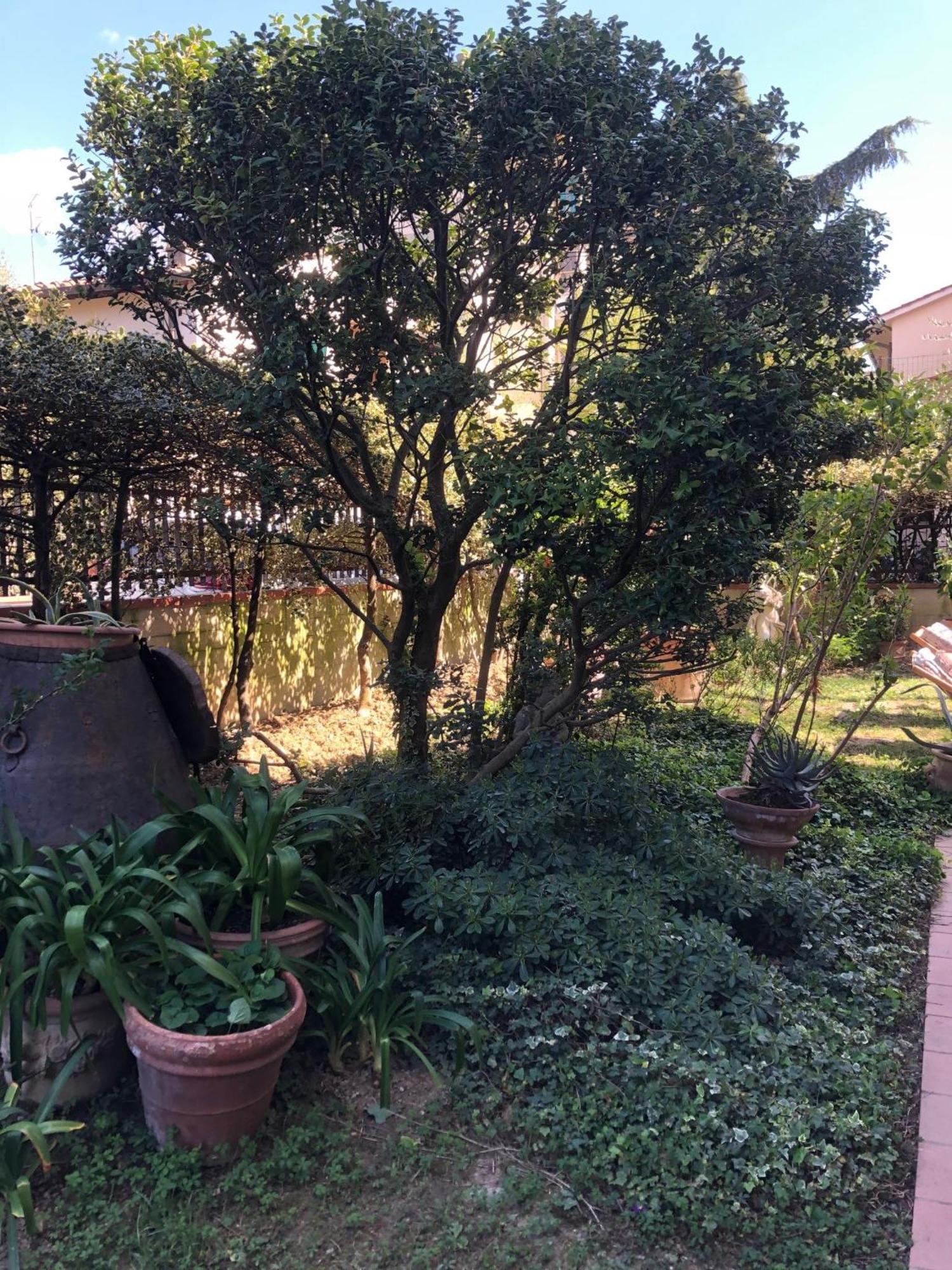 La Villa Bianca - Appartamento In Villa เซสโตฟิโอเรนติโน ภายนอก รูปภาพ